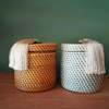 Rattan Box Anong White Washed - Gaya Alegria