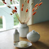 White Ceramic Sleek Vase (8Dcm x 11cm) - Gaya Alegria