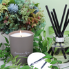 Scented Candle - Off the beaten track | Gaya Alegria 